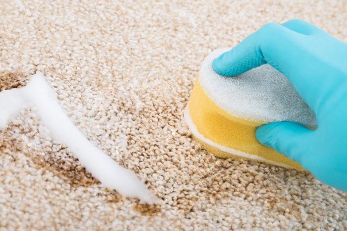 Как очистить ковёр от жвачки